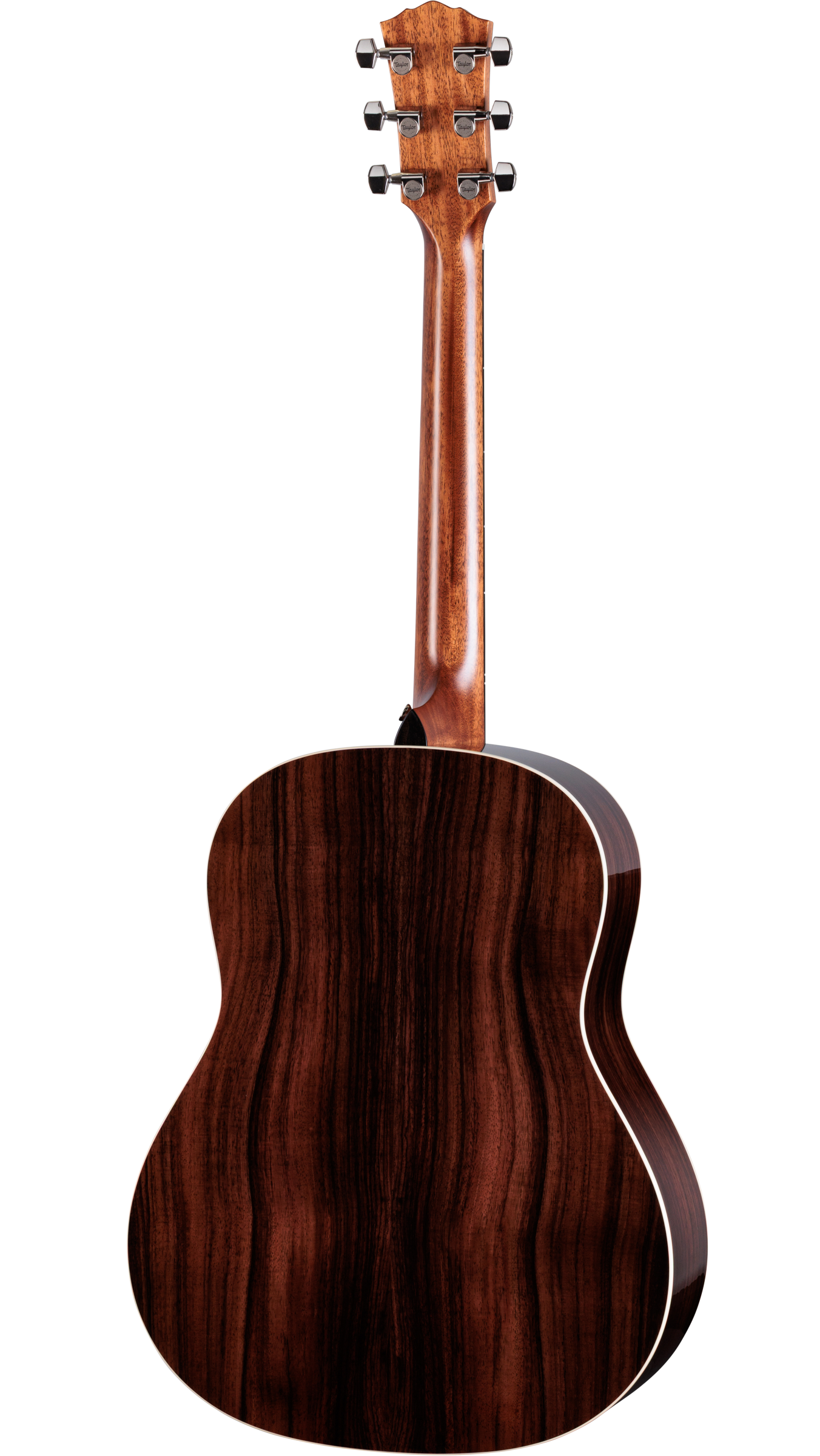 Back of Taylor Gold Label 717e Indian Rosewood / Torrified Sitka Spruce SB Cream Guard.