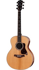 Full frontal of Taylor Gold Label 814e Natural Honduran RW.