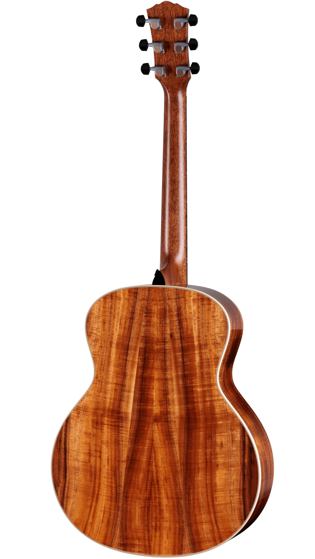 Back of Taylor Gold Label 814e SB Koa.