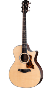Full frontal of Taylor Next Generation 414ce Natural.
