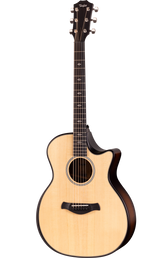 Full frontal of Taylor Next Generation Builder's Edition 314ce LTD Sitka Walnut.
