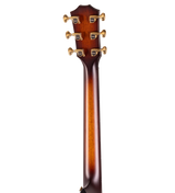 Back of headstock of Taylor Next Generation Builder's Edition 914ce LTD Sinker Cypress Walnut.