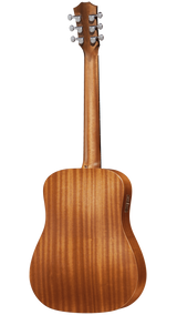 Back of Taylor TS-BTe.