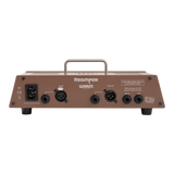 Back of Warm Audio Reamper.