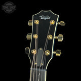 Headstock of Taylor 2025 Namm Custom #41 Grand Pacific Aquamarine Koi Motif.