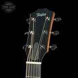 Headstock of Taylor Custom TSG Anniversary Dread Adirondack / Indian Rosewood 1207215001.