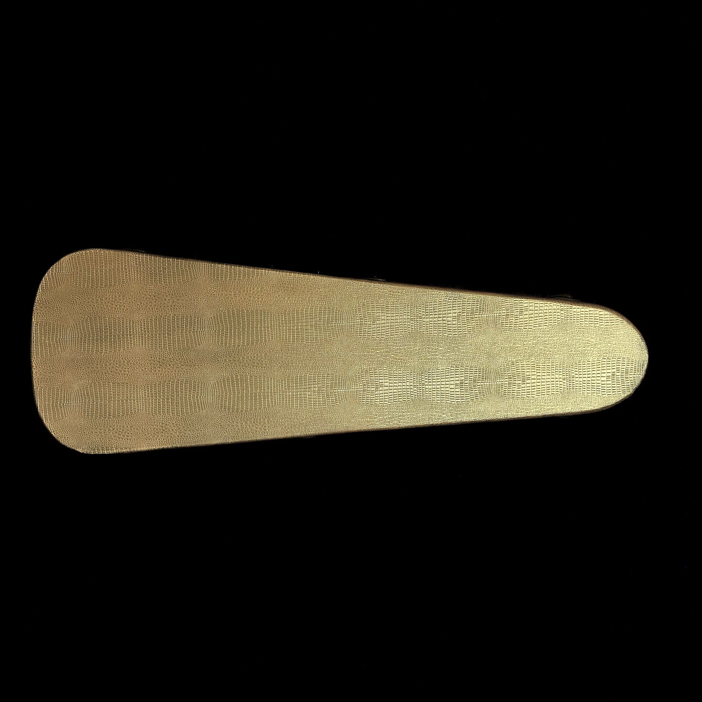 Nash S-57 Black Light Aging Alder/MP w/case 7lbs 14 oz TSG254