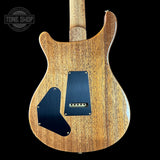 Back of PRS TSG Anniversary Wood Library Artist DGT Frostbite Brazilian Rosewood.