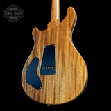 PRS TSG Exclusive Wood Library Artist DGT Frostbite Brazilian Rosewood w/case 0391549