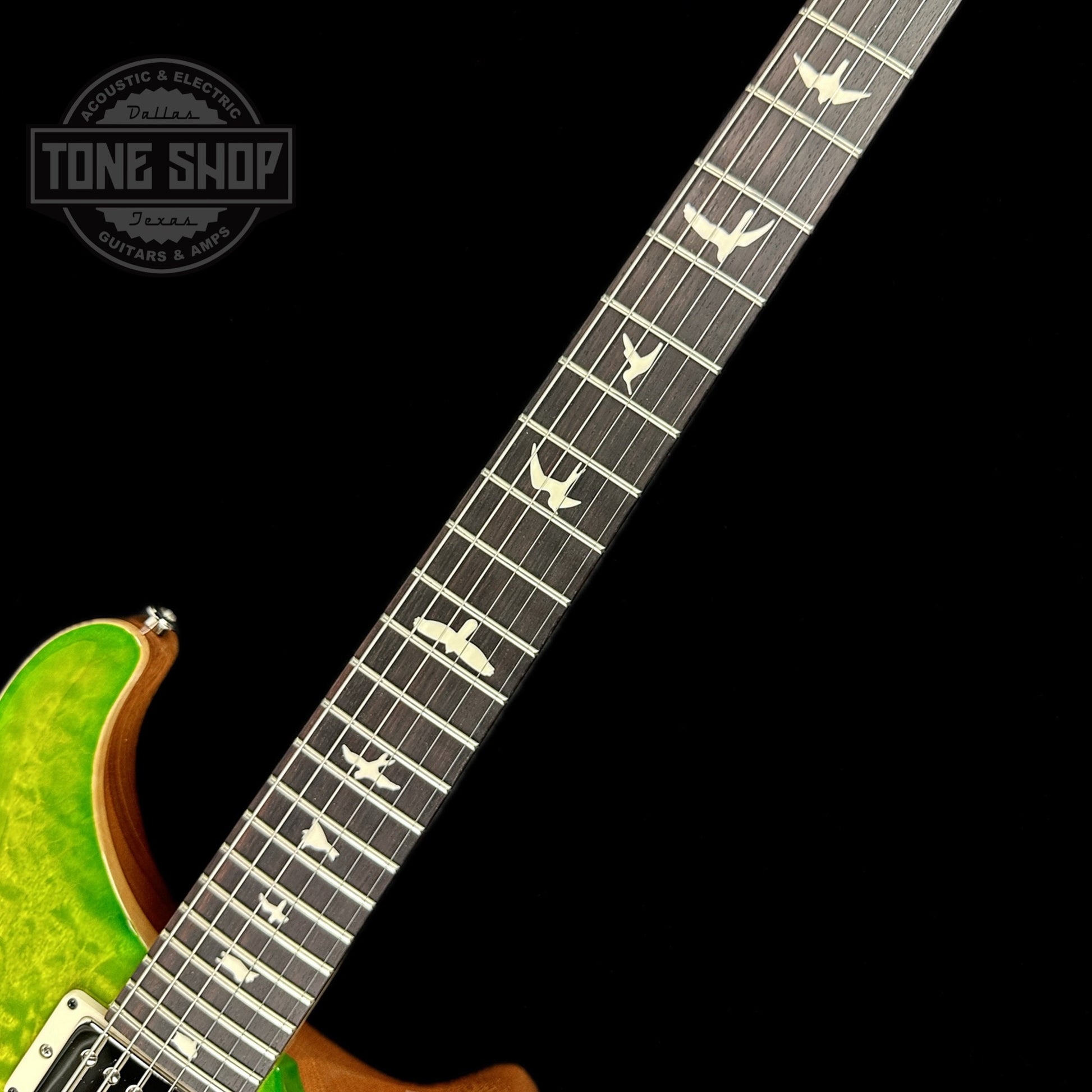 Fretboard of PRS Paul Reed Smith CE24 Semi-Hollow Quilt Eriza Verde.