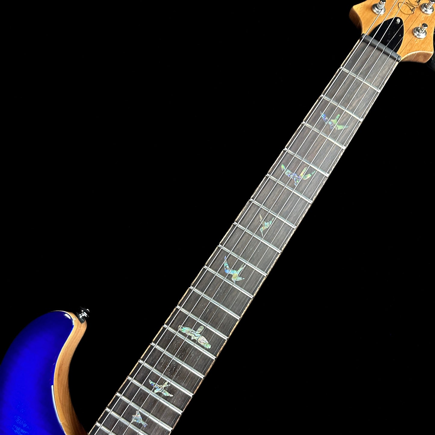 Fretboard of Used PRS SE Paul's Guitar DC Faded Blueburst PGDC.