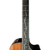 Close-up of a guitar neck with a white background