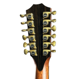 Taylor guitar headstock with twelve tuning pegs on a white background