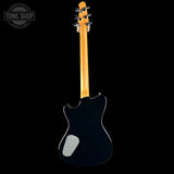 Full back of Powers Electric A-Type Silverburst FF42.