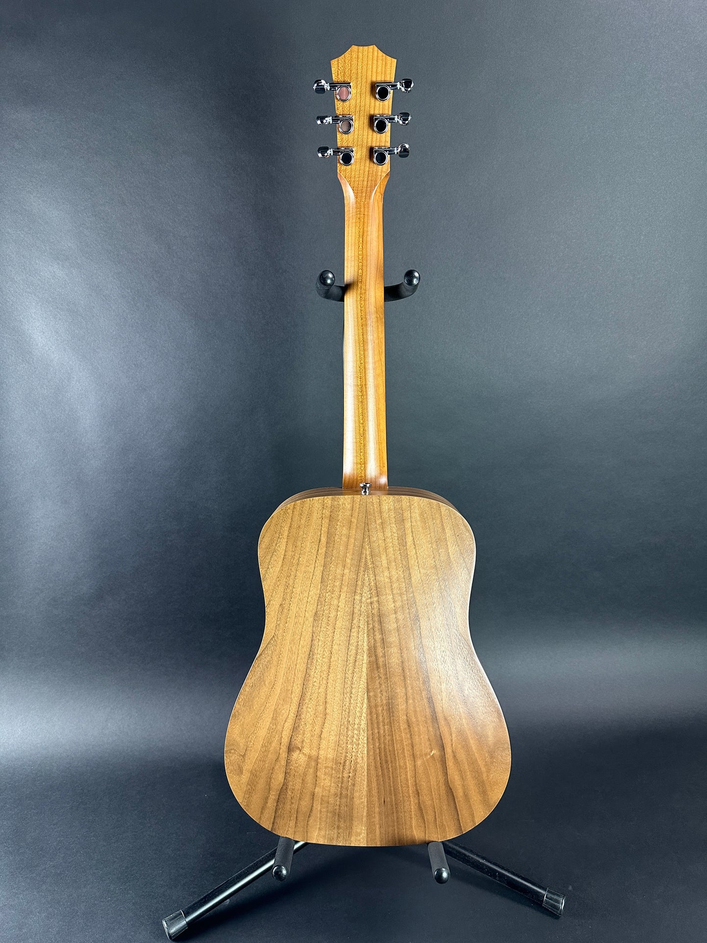 Full back of Used Taylor BT1 Baby.
