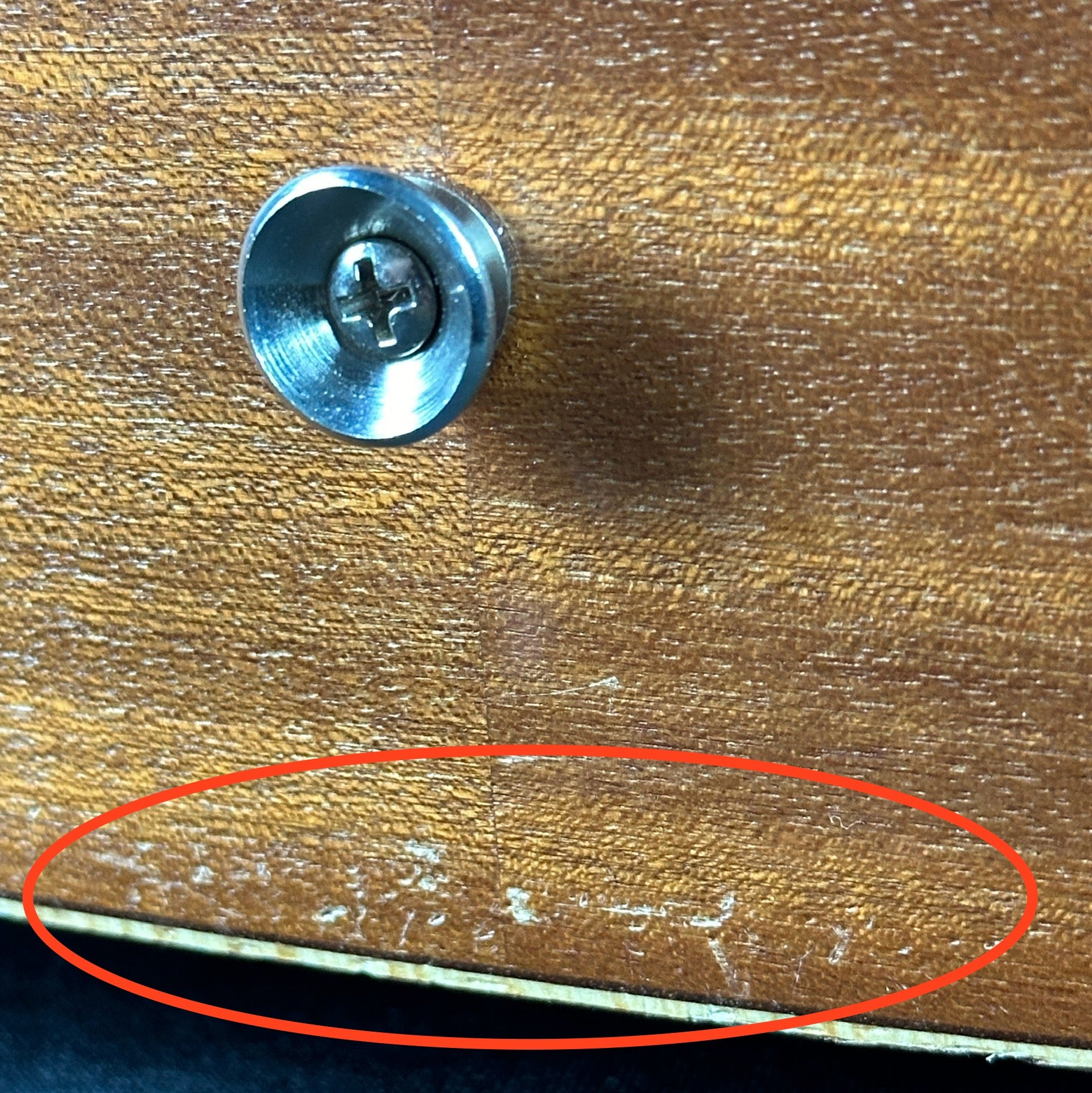 Damage near bottom strap button of Used Taylor Baby Taylor.