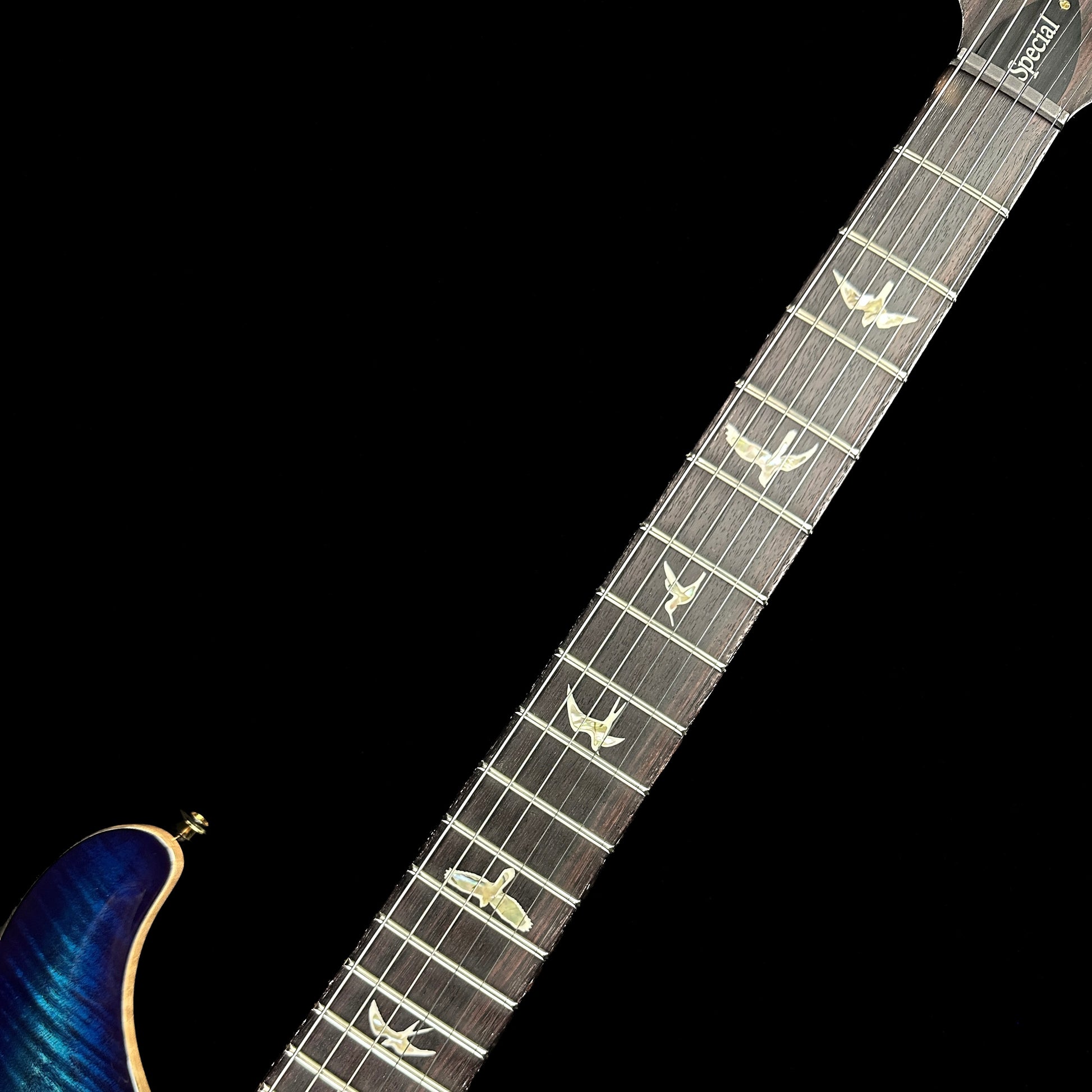 Fretboard of PRS Paul Reed Smith Special Semi-Hollow Cobalt Blue 10 Top.