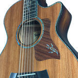 Close-up of a Taylor acoustic guitar on a white background