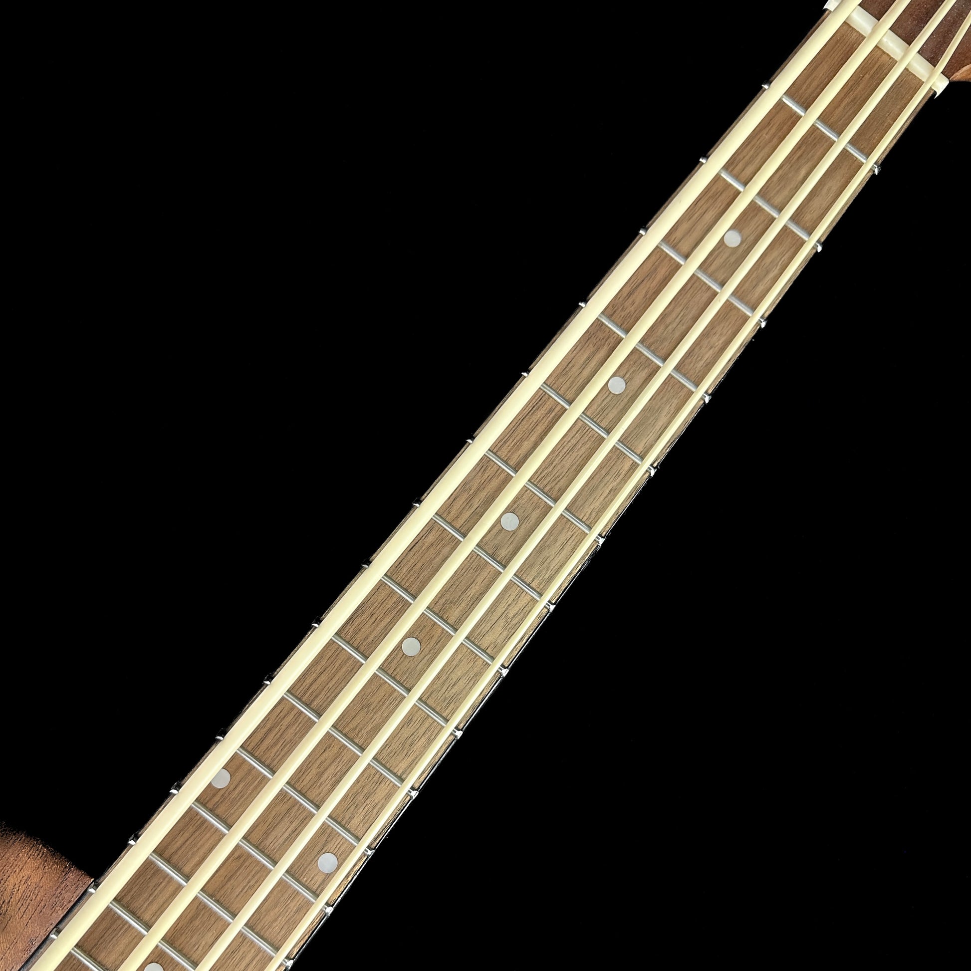 Fretboard of Used Gold Tone MicroBass.