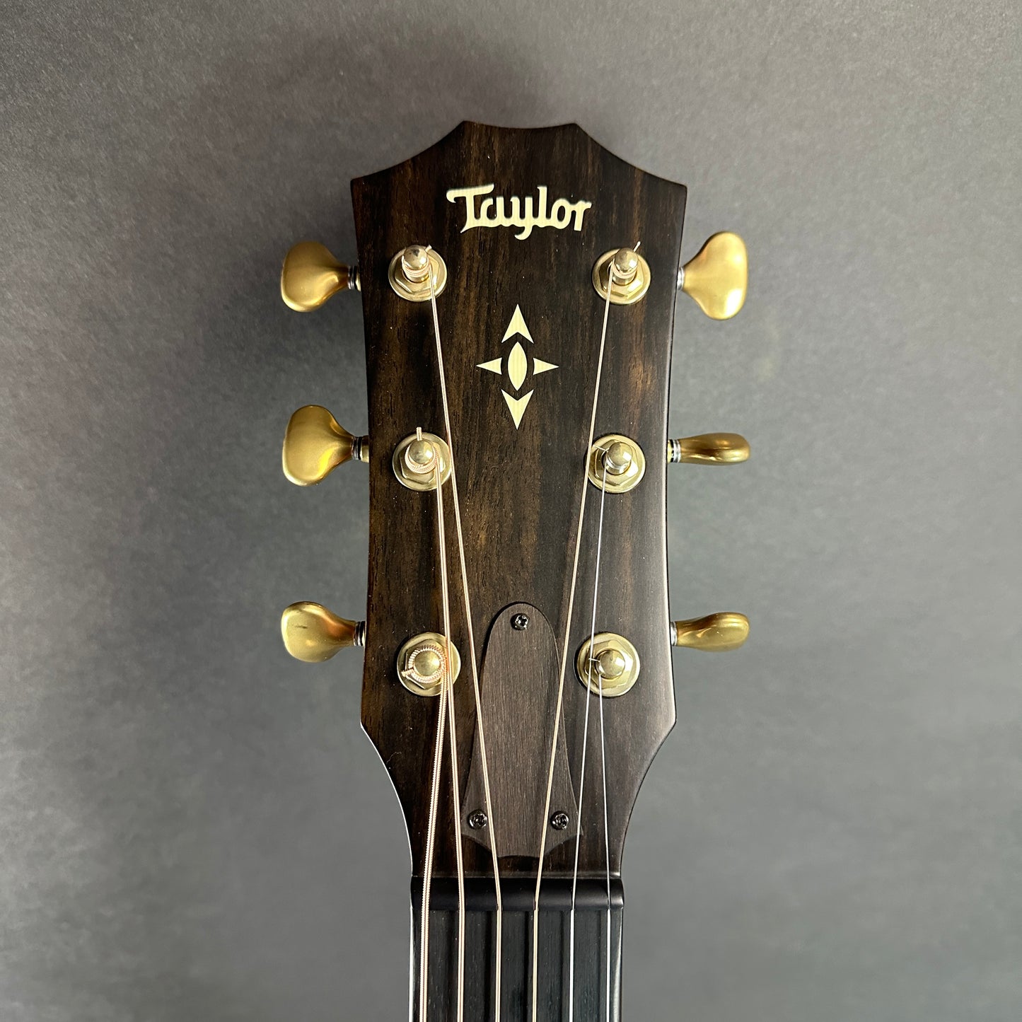 Front of headstock of Used Taylor 517e Builder's Edition.