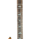 Guitar fretboard with bird inlays on a white background