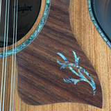Close-up of a Taylor acoustic guitar's soundhole and brand logo.