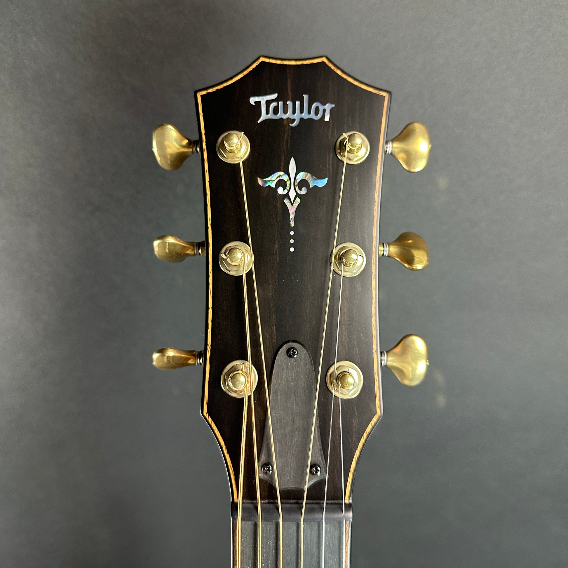 Front of headstock of Used Taylor 912ce Builder's Edition WHB.