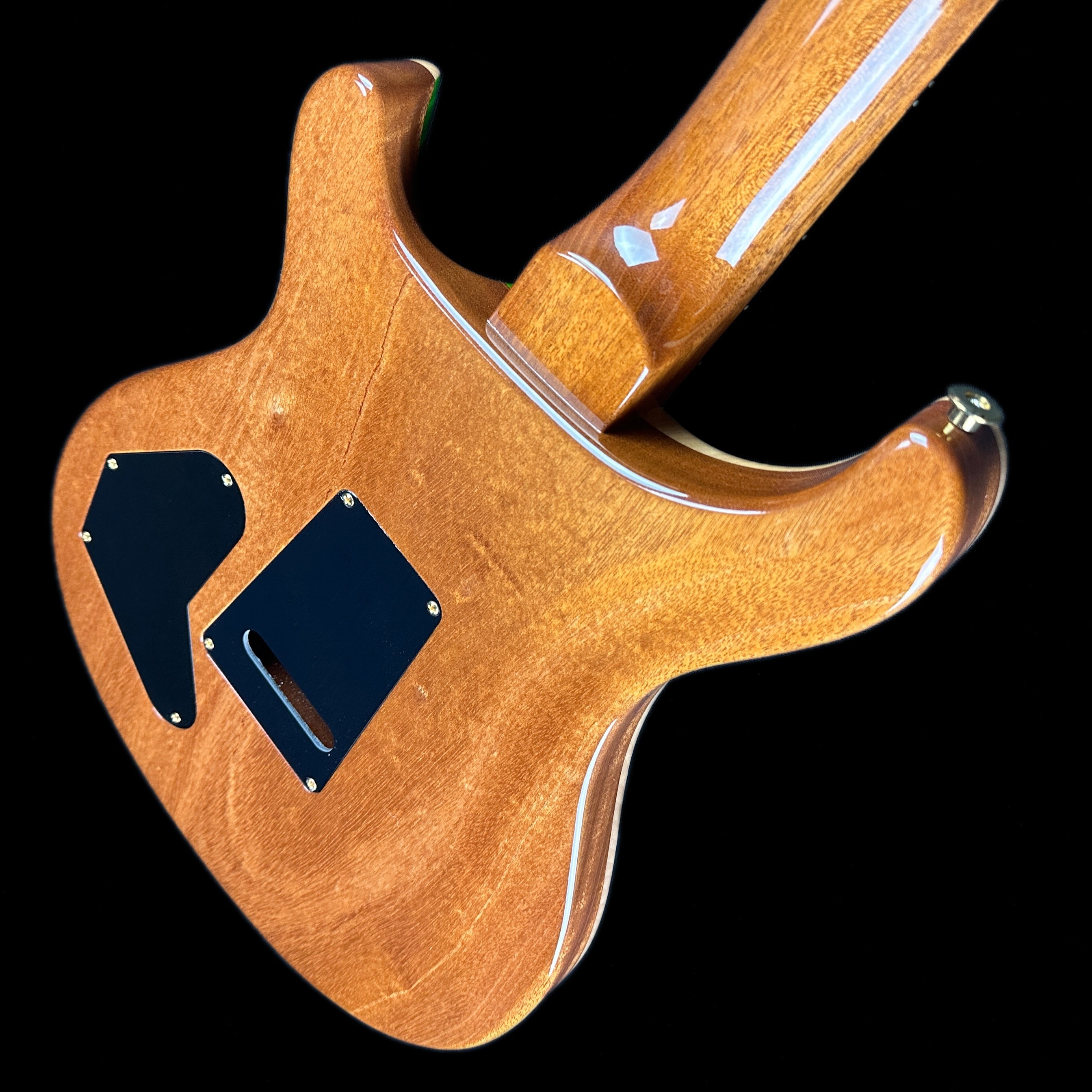 PRS DGT David Grissom Trem Eriza Verde 10 Top Flame w/case – Tone