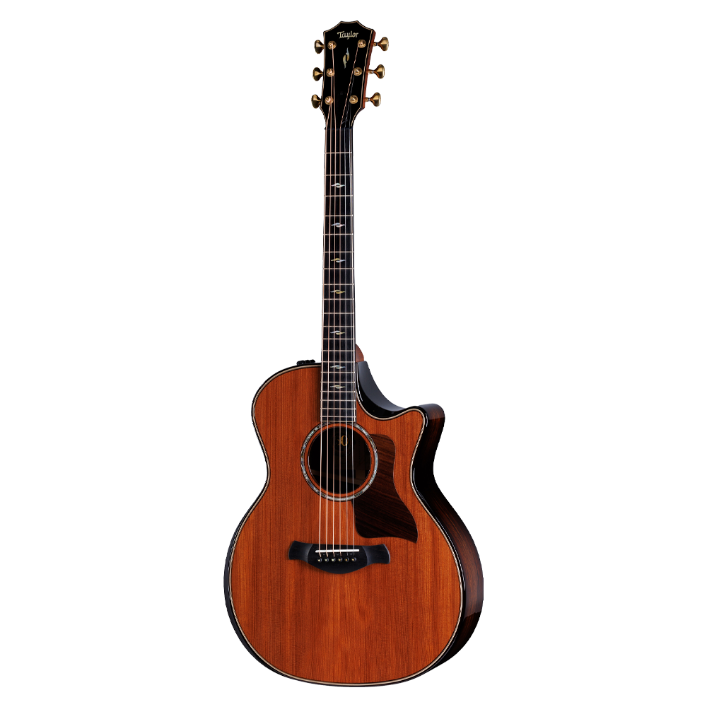 Full shot of front of Taylor 50th Anniversary 814ce Builder's Edition Sinker Redwood Top w/case