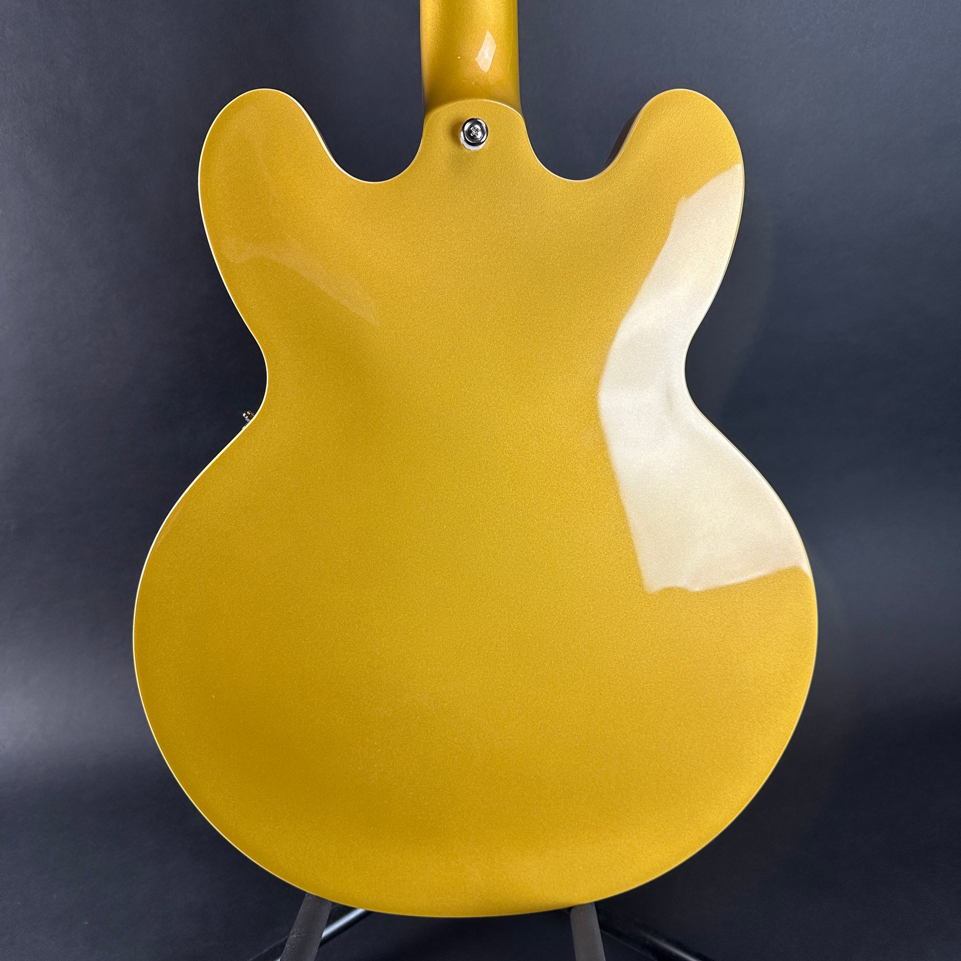 Back of body of Used Epiphone ES-335 Gold.