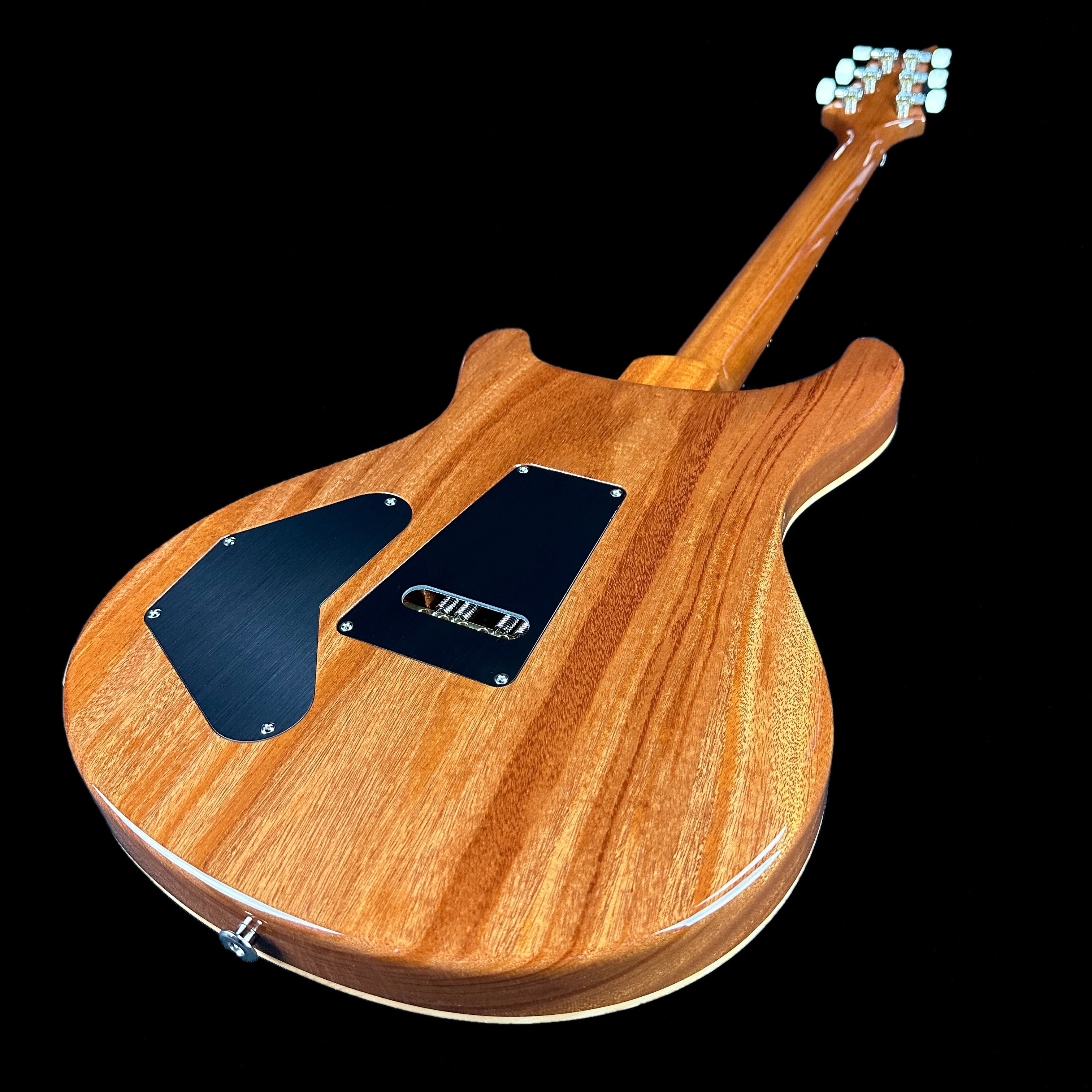 PRS Paul Reed Smith DGT David Grissom Trem Eriza Verde Moons w