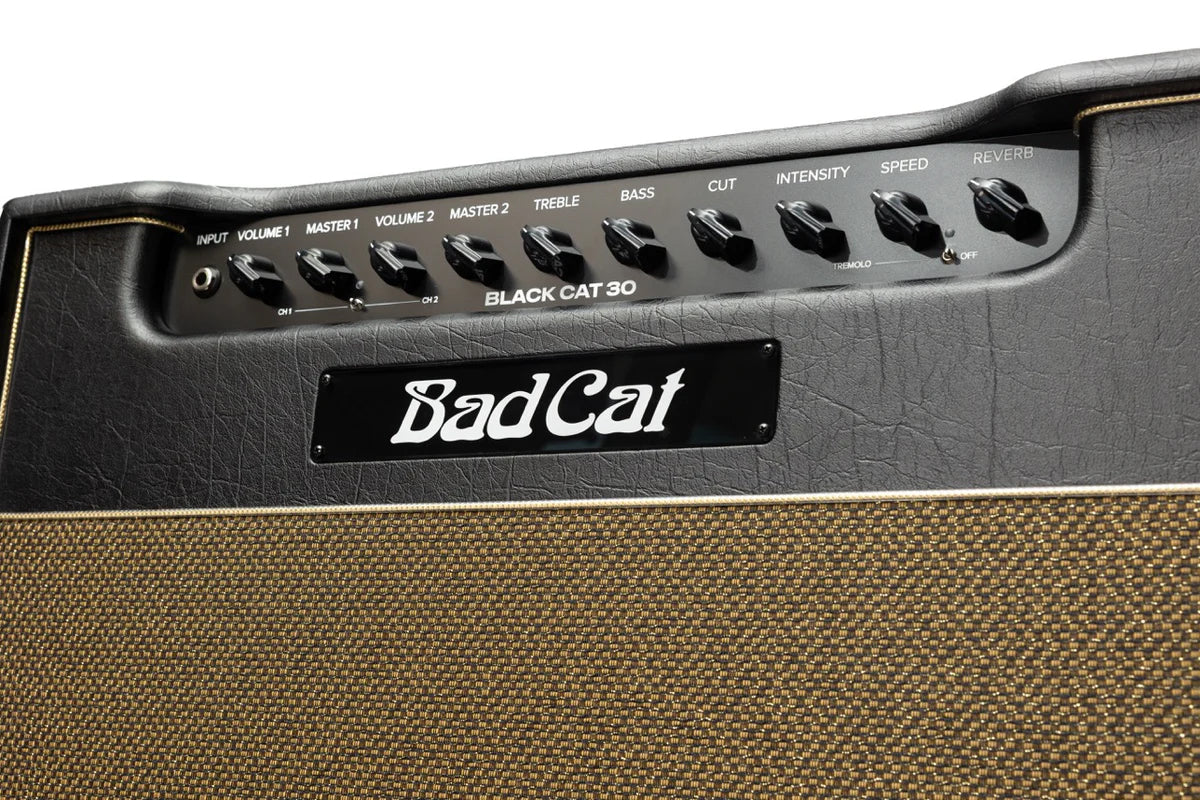 Close up of Bad Cat Black Cat 2207 Mod Shop 30w 1x12 Tube Combo logo.