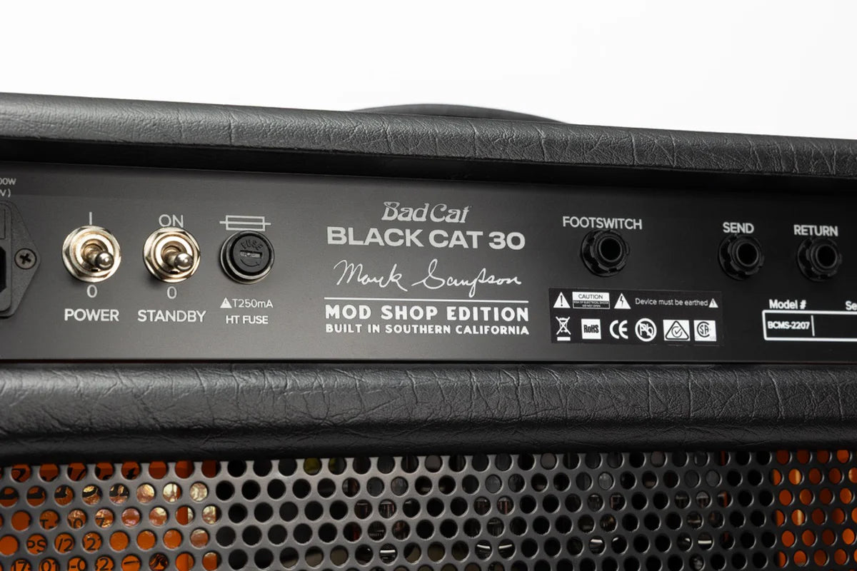 Close up of Bad Cat Black Cat 2207 Mod Shop 30w 1x12 Tube Combo knobs.