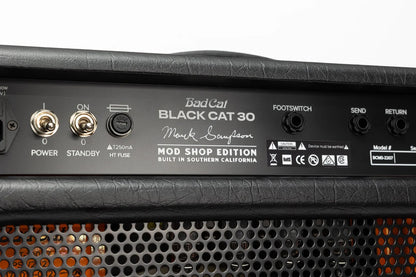 Close up of Bad Cat Black Cat 2207 Mod Shop 30w 1x12 Tube Combo knobs.