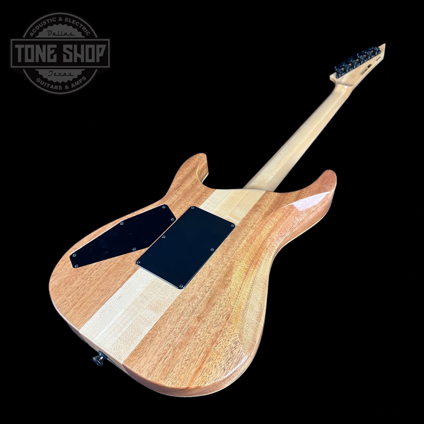 Back angle of ESP USA M1 NTB FR Hellfire.