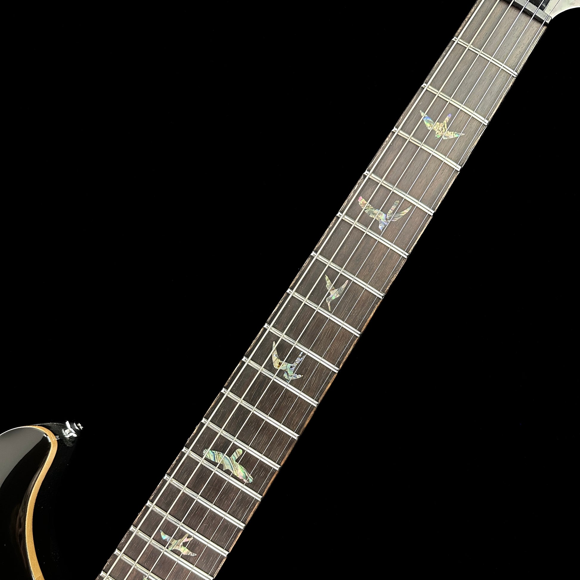Fretboard of Used PRS Paul Reed Smith SE Paul's Guitar Black Gold Sunburst.