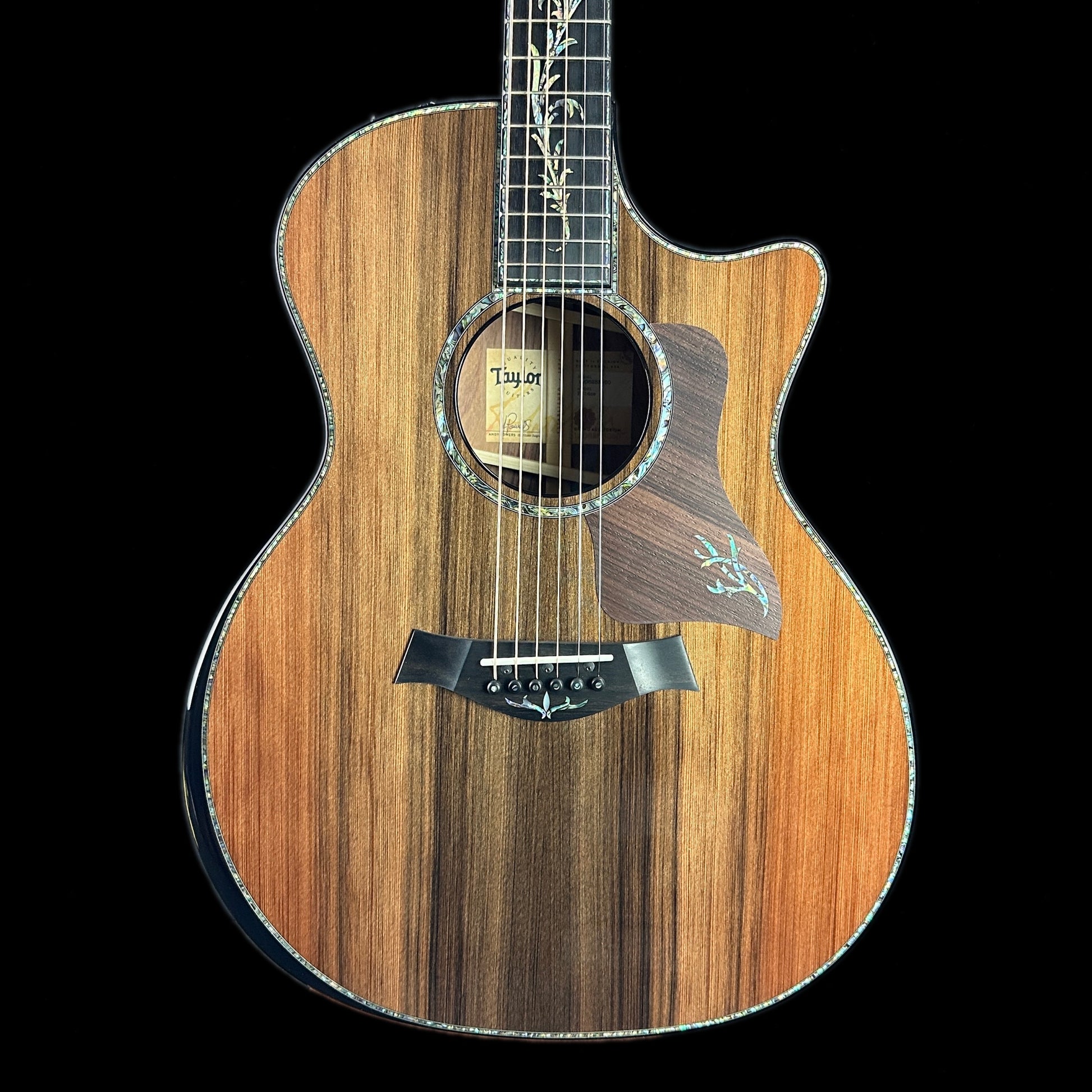 Front of body of Taylor PS14ce Honduran Rosewood/Sinker Redwood V-Class Bracing.