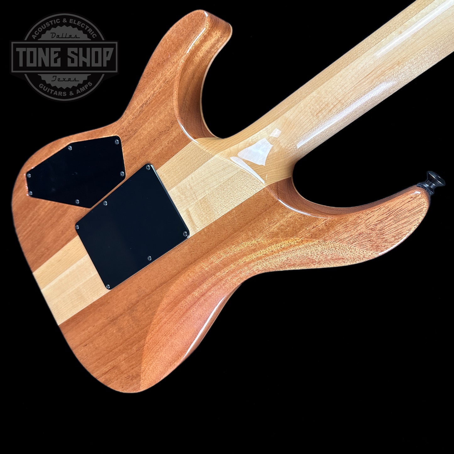 Back angle of ESP USA M1 NTB FR Hellfire.