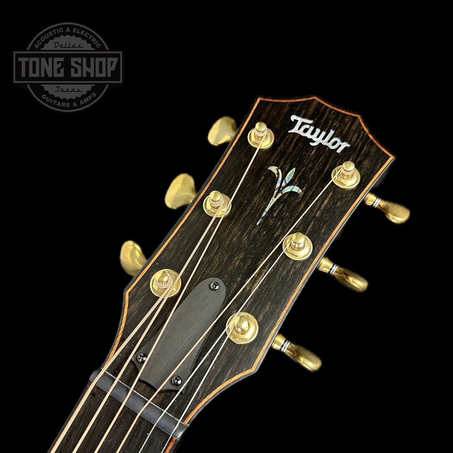 Front of headstock of Taylor Builder's Edition K24ce V-Class Bracing.