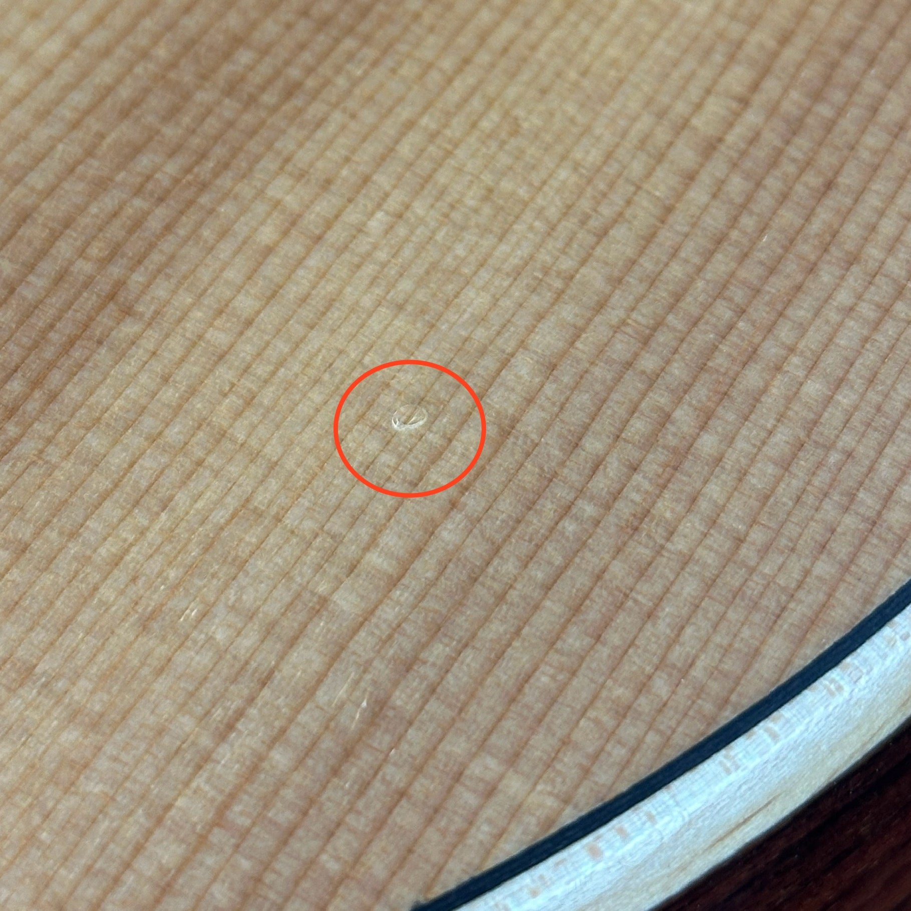 Small ding on body of Used Larivee L-03-12R.