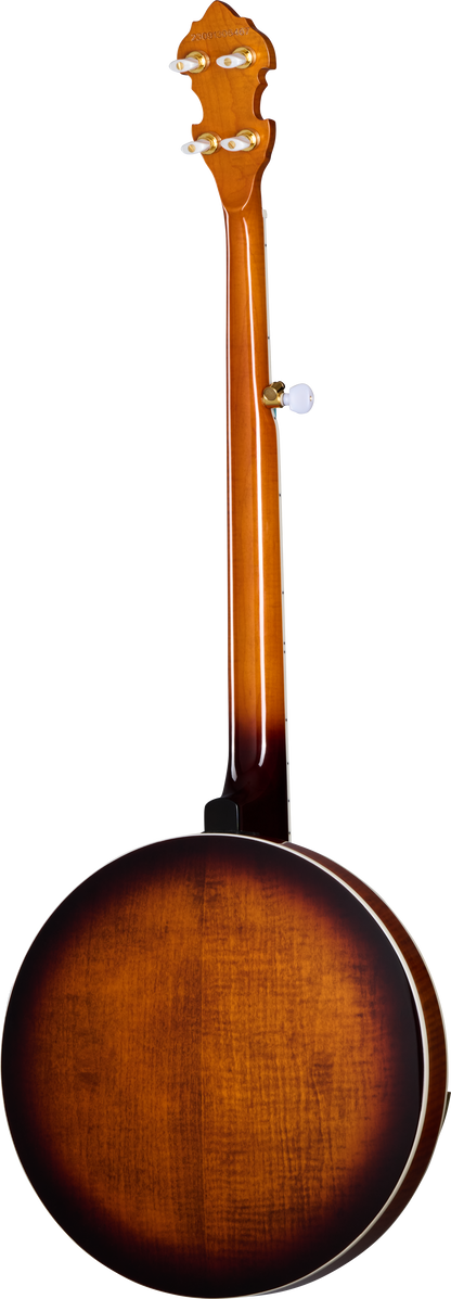 Back of Epiphone Earl Scruggs Golden Deluxe Banjo Natural.