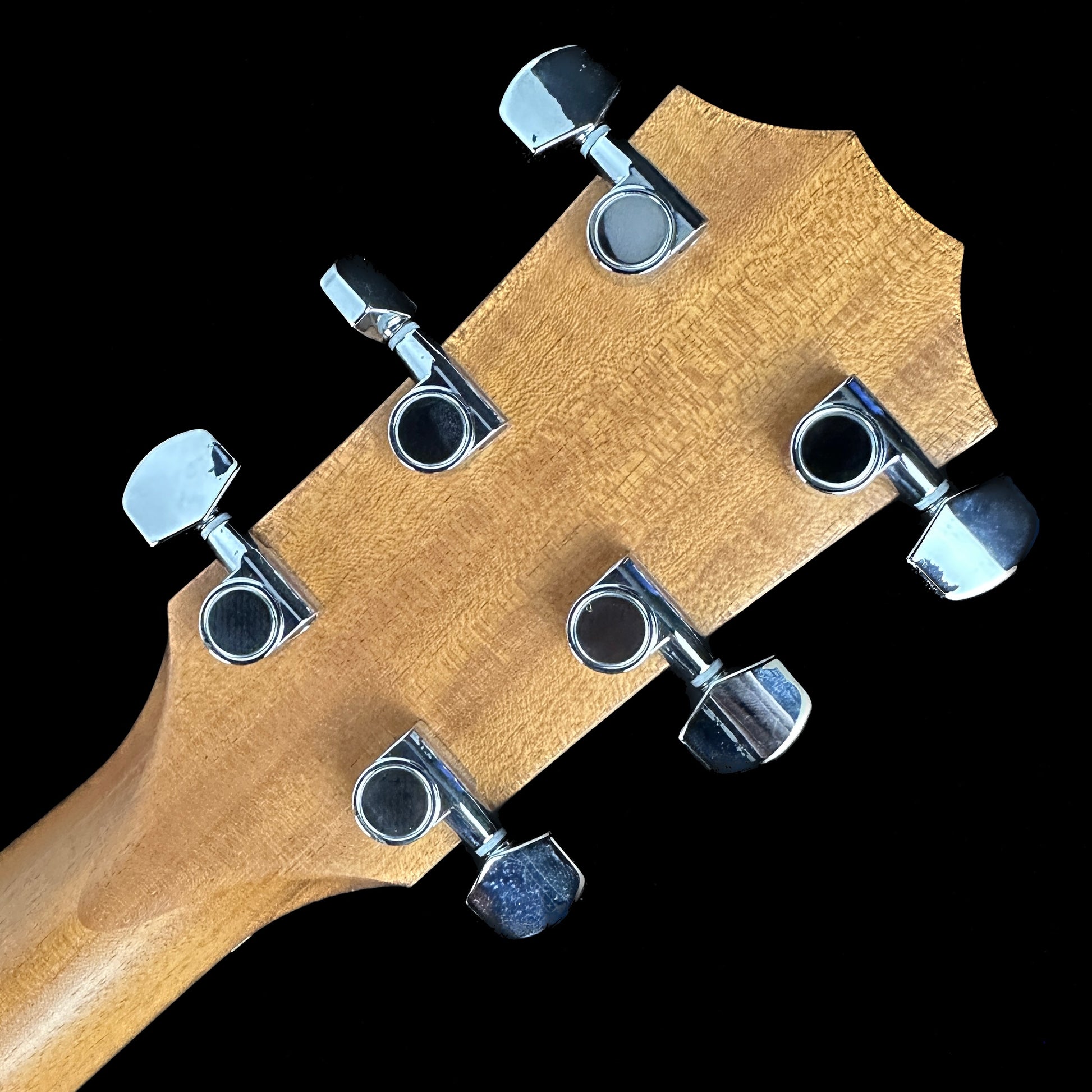 Back of headstock of Used Taylor 114ce.