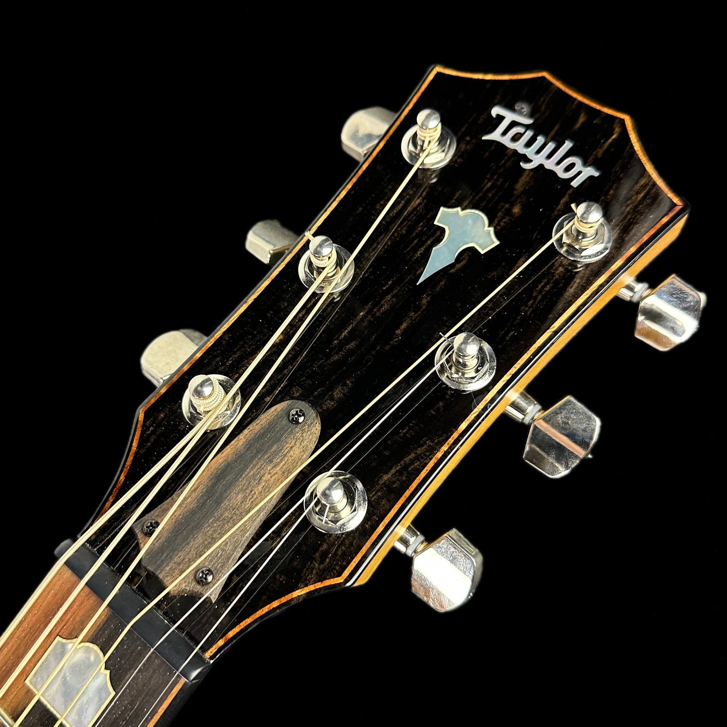 Headstock of Used Taylor 618e Antique Blonde.
