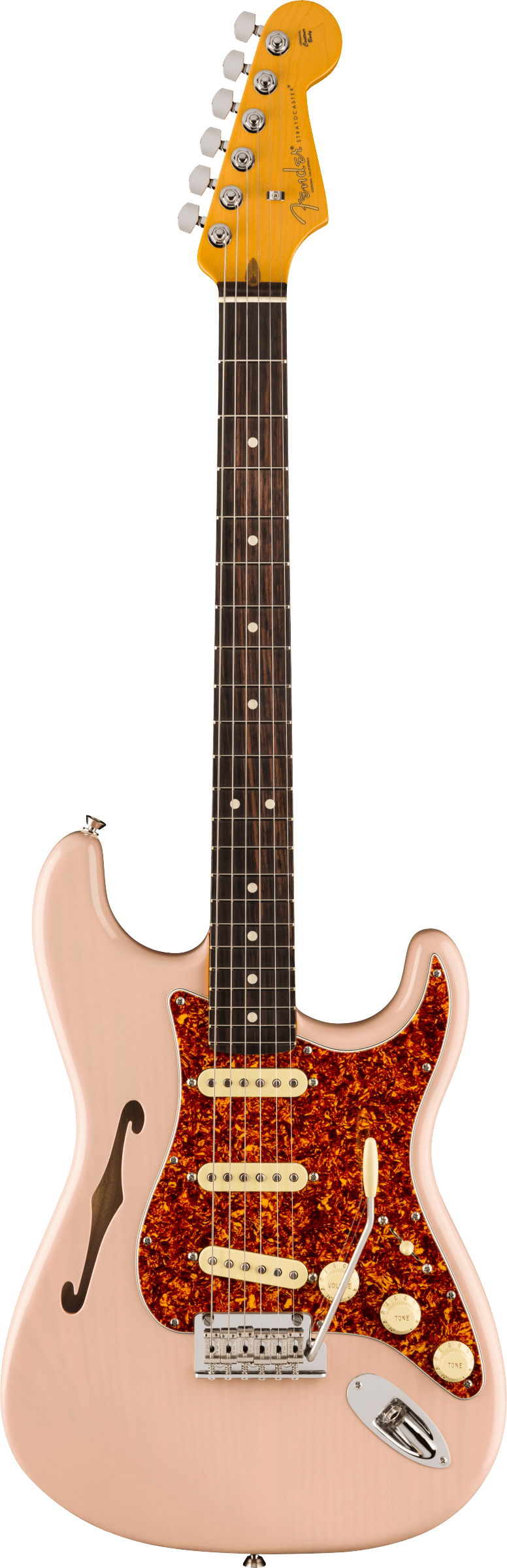 Full frontal of Fender American Professional II Stratocaster Thinline RW Transparent Shell Pink.