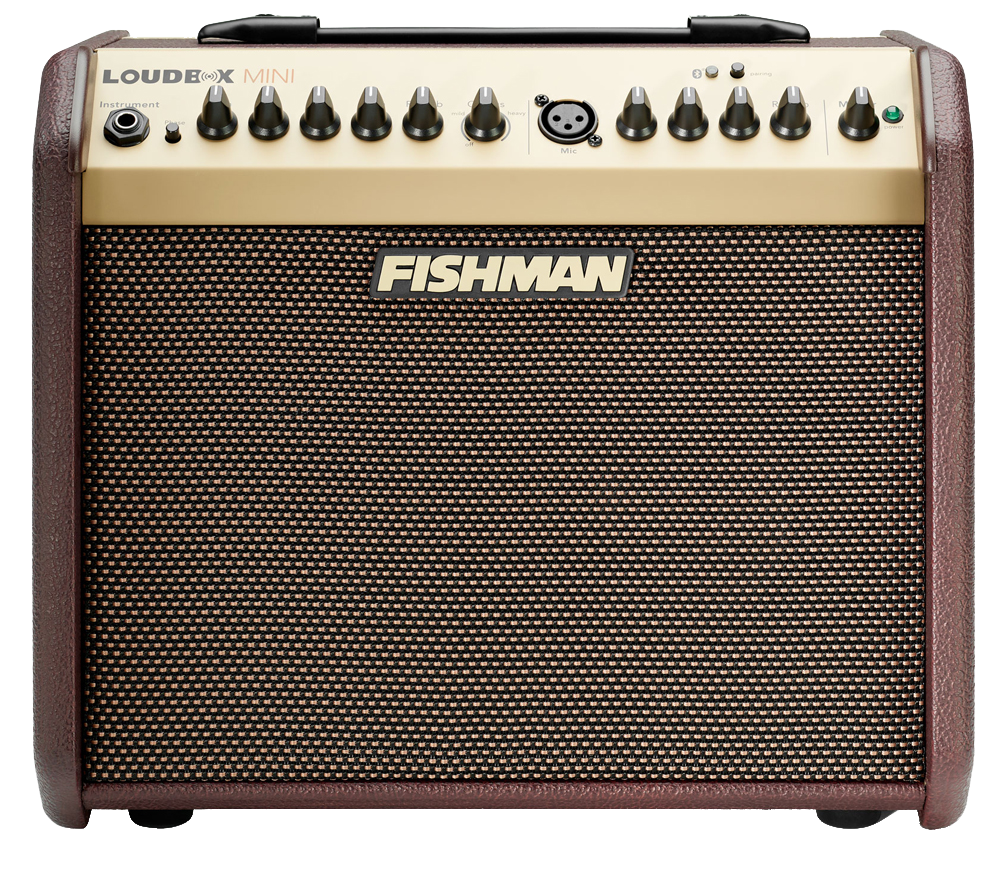 Front of Fishman PRO-LBT-500 Loudbox Mini Bluetooth 60 watts.