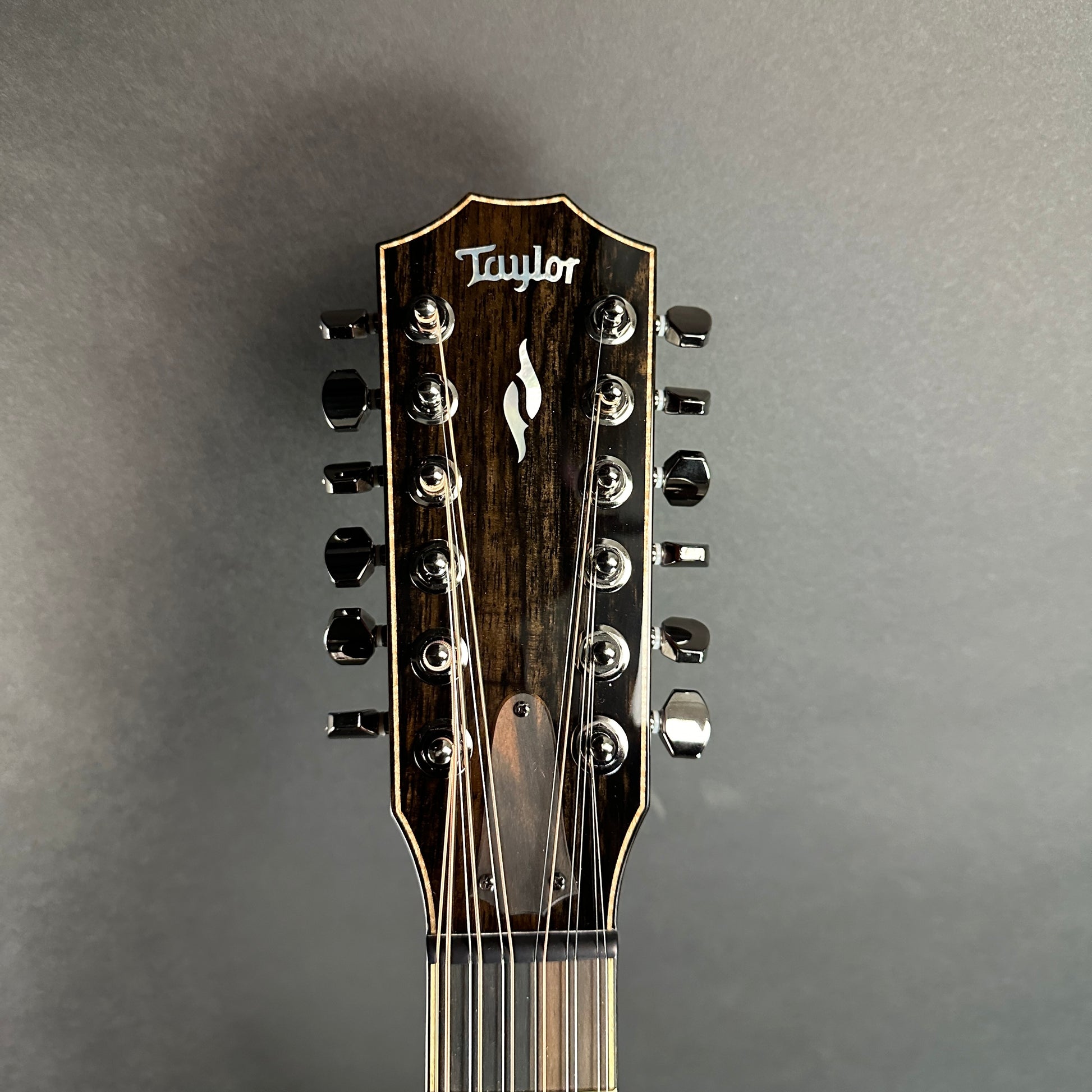 Front of headstock of Used Taylor 858e 12 String Builder's Edition.