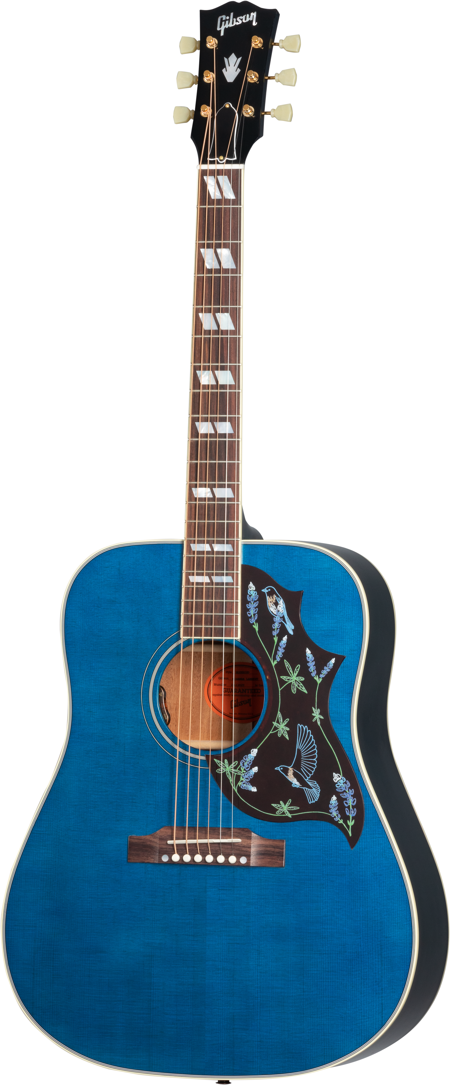 Full frontal of Gibson Miranda Lambert Bluebird Bluebonnet.