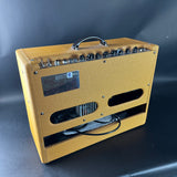 Vintage-style guitar amplifier with a blue background