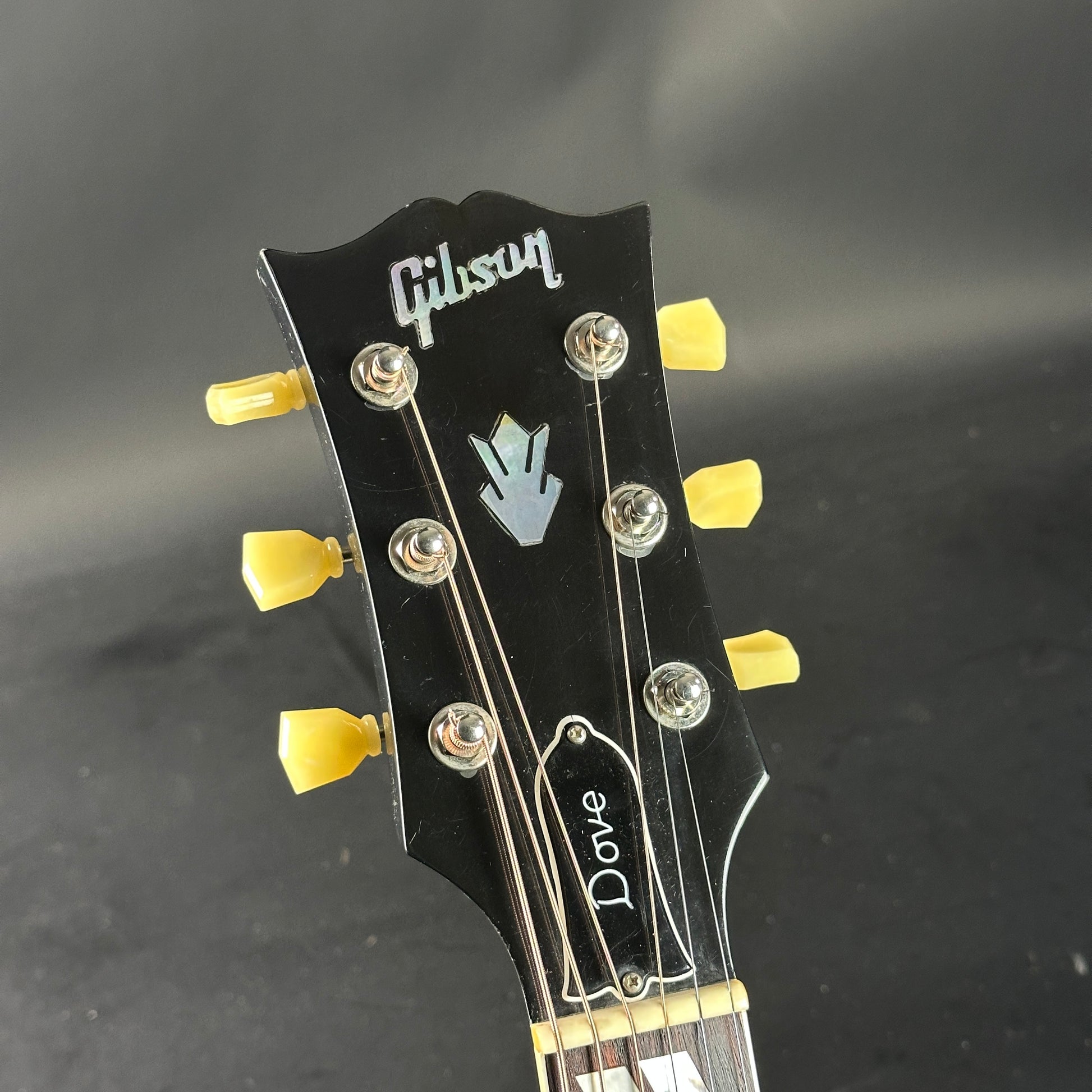Gibson guitar headstock with 'Dove' branding on a dark background
