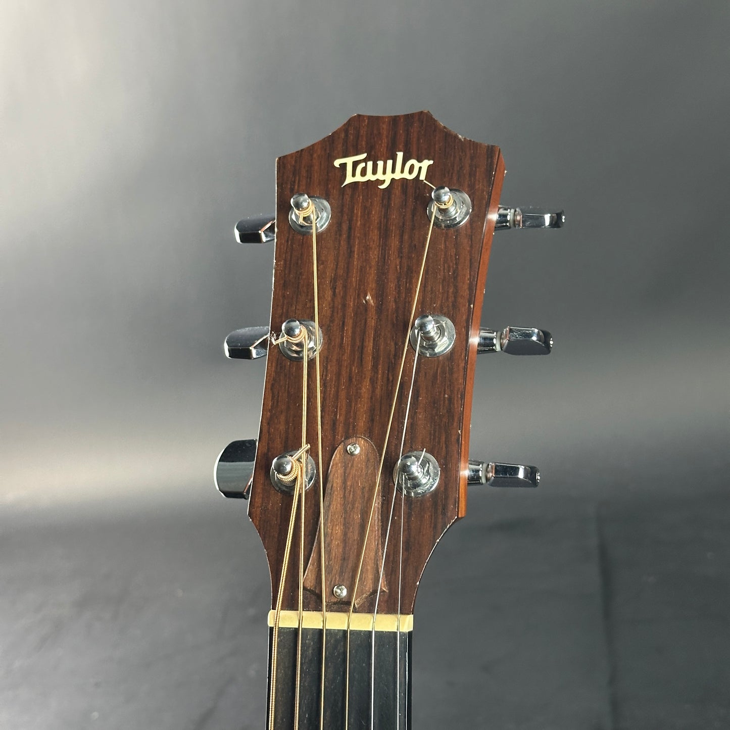 Taylor guitar headstock on a gray background